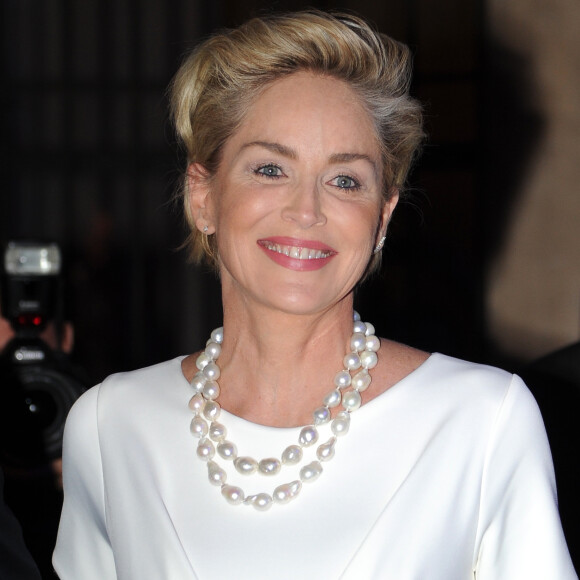 Sharon Stone au cocktail de la soirée "Pilosio Building Peace Award 2015" à Milan en Italie le 12 septembre 2015.