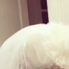 Kate Hudson lors de sa soirée d'anniversaire à thème. Photo extraite d'une vidéo publiée sur Instagram, le 24 avril 2016