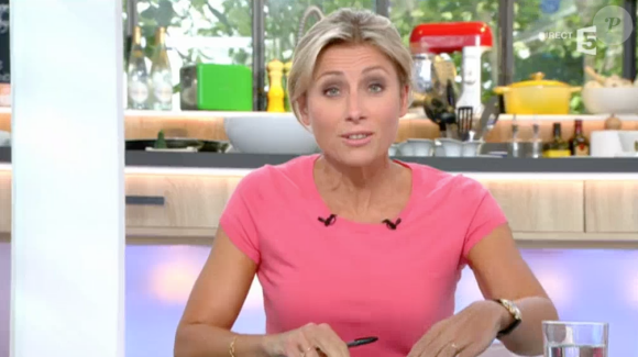 Des manifestants ont tenté d'investir le plateau de "C à vous" où se trouvait la ministre du Travail, Myriam El Khomri. Le 26 mai sur France 5.