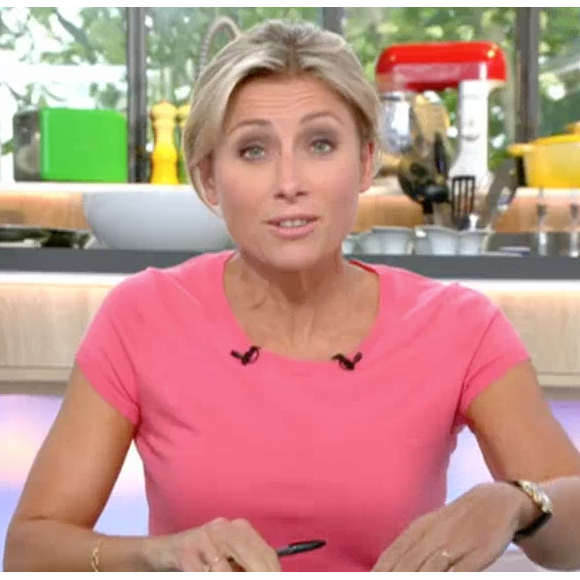 Des manifestants ont tenté d'investir le plateau de "C à vous" où se trouvait la ministre du Travail, Myriam El Khomri. Le 26 mai sur France 5.