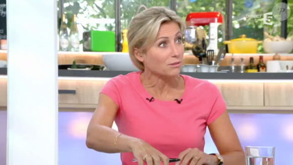 Des manifestants ont tenté d'investir le plateau de "C à vous" où se trouvait la ministre du Travail, Myriam El Khomri. Le 26 mai sur France 5.