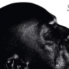 Pochette de l'album 7 de Seal, paru en 2015