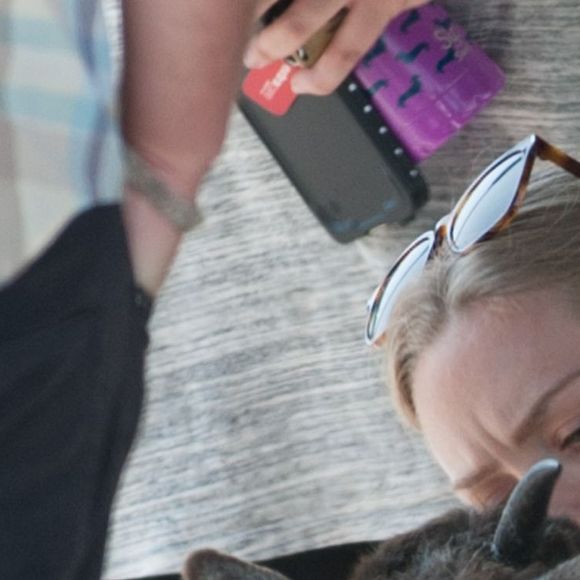 Amanda Seyfried, Tracy Morgan et Ed Helms avec pleins d'animaux sur le tournage de "The Clapper" à Los Angeles, le 7 juin 2016