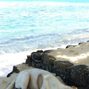 Mareva Galanter en vacances à Tahiti. Juin 2016.