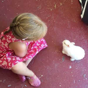 Carla Bruni et sa fille, Giulia Sarkozy, nous présentent leur lapin Kalina - Sur Instagram, août 2016.