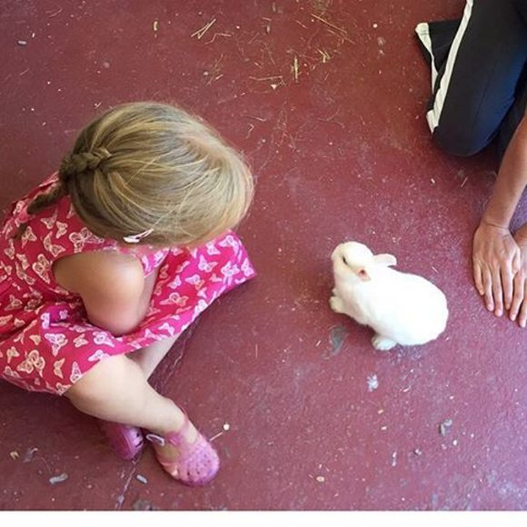 Carla Bruni et sa fille, Giulia Sarkozy, nous présentent leur lapin Kalina - Sur Instagram, août 2016.