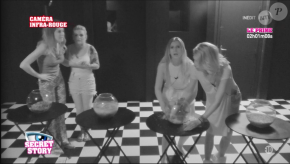 Secret Story 10, jeudi 1er septembre 2016 sur NT1.