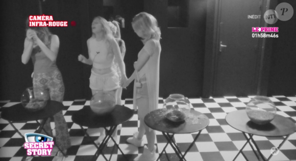 Secret Story 10, jeudi 1er septembre 2016 sur NT1.