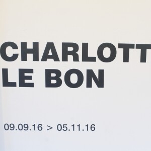 Exclusif - Illustration - Vernissage de l'exposition "One bedroom Hotel on the Moon" de Charlotte Le Bon à la galerie Cinéma à Paris le 8 septembre 2016. © CVS/bestimage