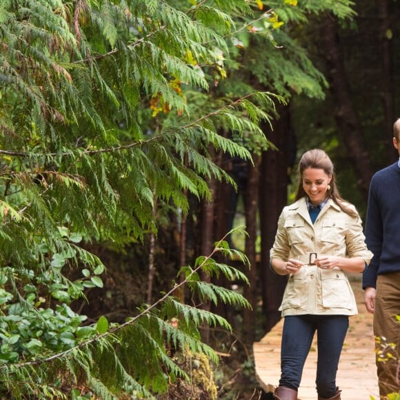 Kate Middleton et le prince William, duchesse et duc de Cambridge, dans la Forêt Grand Ours (Great Bear Rainforest, la plus grande forêt primaire tempérée) en Colombie-Britannique, le 26 septembre 2016 lors de leur visite officielle au Canada.