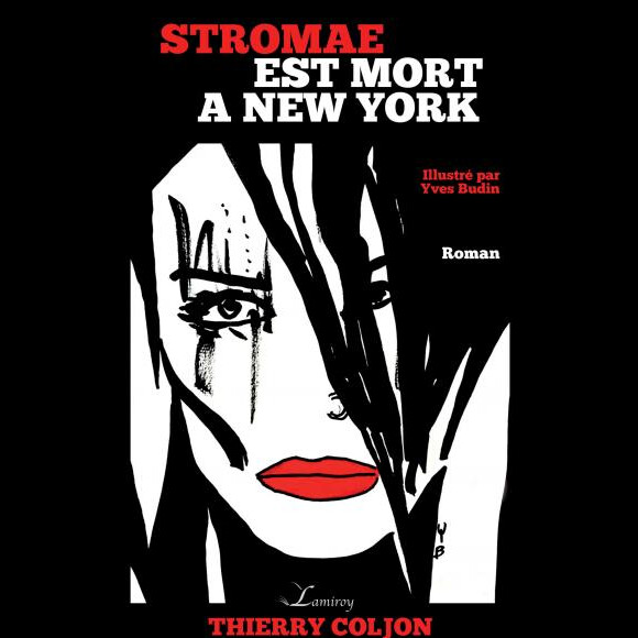 Couverture du roman "Stromae est mort à New York", dont la sortie est prévue le 30 septembre 2016