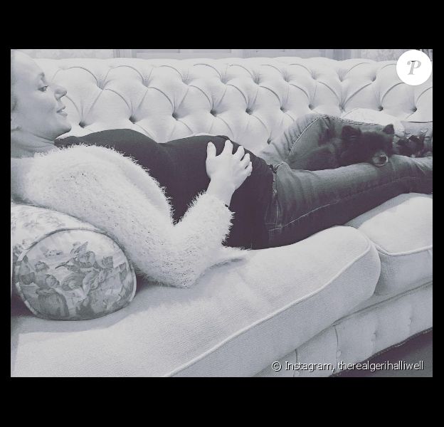 Geri Halliwell enceinte de son deuxième enfant, fait la sieste avec sa petite chienne. Photo publiée sur Instagram le 27 novembre 2016