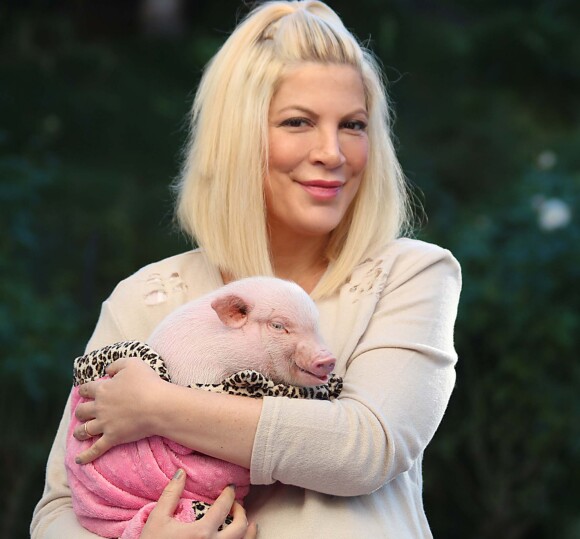 L'actrice Tori Spelling a recueilli une petite cochone, Nutmeg. Le 26 décembre 2016 à Los Angeles