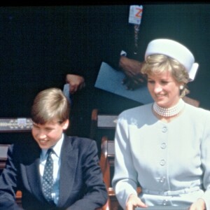 La princesse Diana avec ses fils le prince William et le prince Harry en mai 1995 à Hyde Park lors de commémorations.