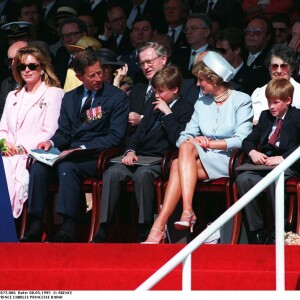 La princesse Diana avec ses fils le prince William et le prince Harry en mai 1995 à Hyde Park lors de commémorations.