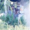 Exclusif - Angelina Jolie semble très proche d'un mystérieux inconnu, alors qu'elle entame le tournage de son nouveau film "First They Killed My Father" à Siem Reap au Cambodge, avec qui elle a passé trois heures durant à rire et plaisanter, alors que son mari Brad Pitt était, lui, sur un tournage à Londres....La police et l'armée étaient présentes sur les lieux du tournage pour protéger Angelina Jolie de ses fans. Le 19 novembre 2015