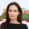 Angelina Jolie - Célébrités lors la première de Kung Fu Panda 3 au théâtre "TCL Chinese" de Hollywood le 16 janvier 2016.