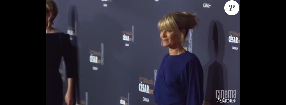 Marina Foïs sur le tapis rouge des César du Cinéma 2017