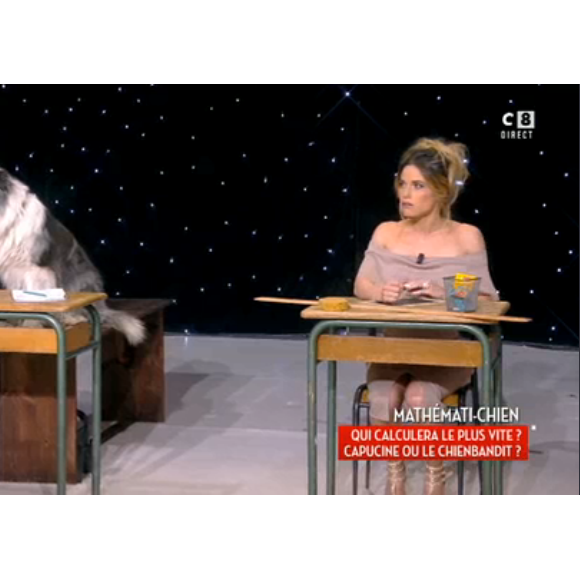 Capucine Anav et "Bandit" dans TPMP, le 6 avril 2017 sur C8.