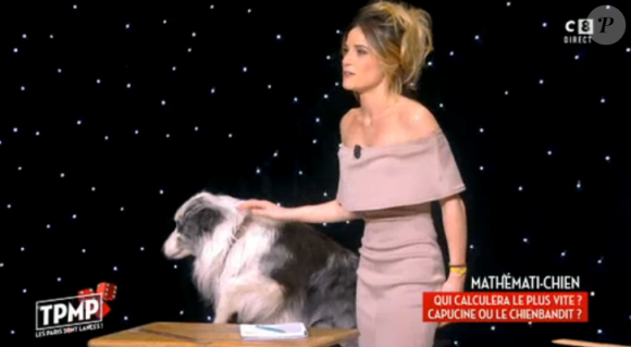 Capucine Anav et "Bandit" dans TPMP, le 6 avril 2017 sur C8.