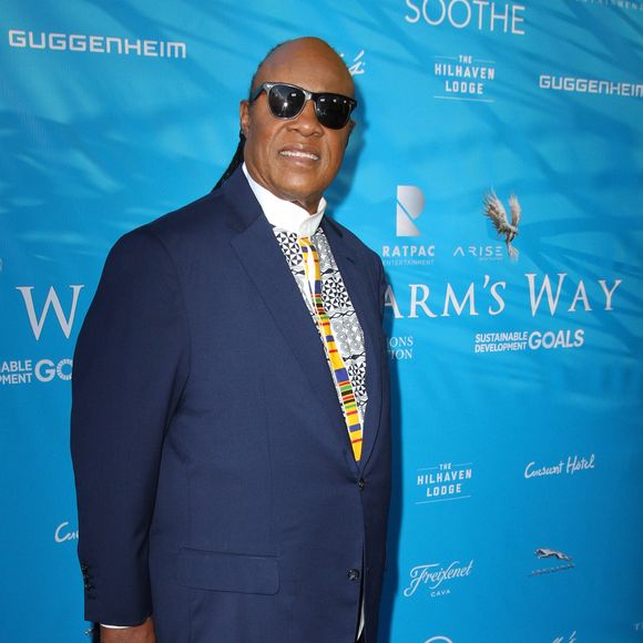 Stevie Wonder lors du dîner donné par Brett Ratner et David Raymond en l'honneur du secrétaire général de l'ONU, Ban Ki-moon à la Private Residence à Los Angeles, le 10 août 2016.