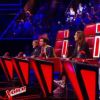 Les coachs - "The Voice 6", samedi 15 avril 2017, TF1