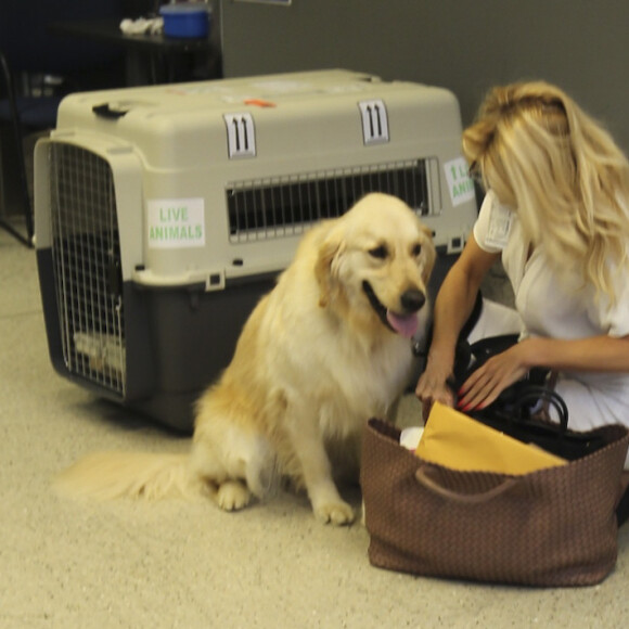 Pamela Anderson arrive à l'aéroport LAX de Los Angeles avec son chien JoJo, le 25 avril 2017. © CPA/Bestimage