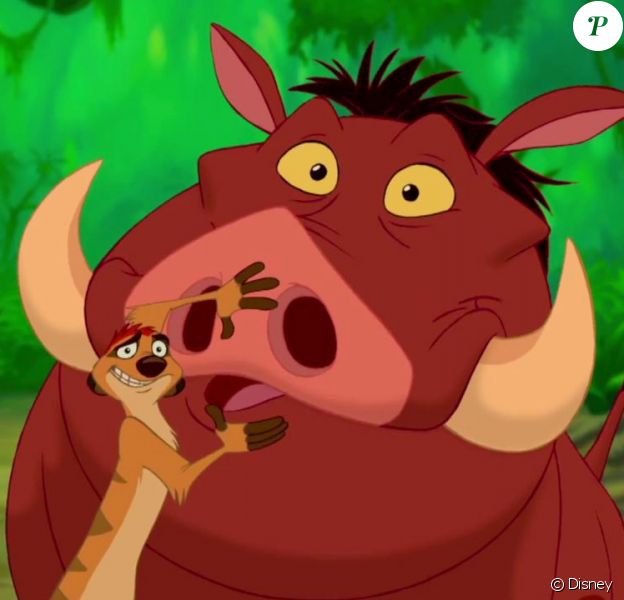timon und pumbaa