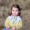 Charlotte, fille du prince William et de la duchesse de Cambridge - photo postée la veille de ses 2 ans.