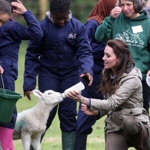 Kate Middleton, duchesse de Cambridge, visitait avec des élèves et enseignants d'une école primaire de Vauxhall une ferme à Arlingham, dans le Gloucestershire, avec l'association Farms For City Children, le 3 mai 2017. Elle a notamment nourri l'agneau Stinky.