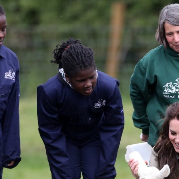 Kate Middleton, duchesse de Cambridge, visitait avec des élèves et enseignants d'une école primaire de Vauxhall une ferme à Arlingham, dans le Gloucestershire, avec l'association Farms For City Children, le 3 mai 2017. Elle a notamment nourri l'agneau Stinky.