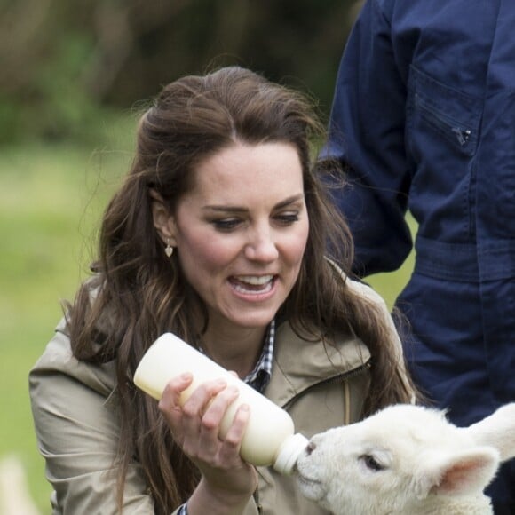 Kate Middleton, duchesse de Cambridge, visitait avec des élèves et enseignants d'une école primaire de Vauxhall une ferme à Arlingham, dans le Gloucestershire, avec l'association Farms For City Children, le 3 mai 2017. Elle a notamment nourri l'agneau Stinky.