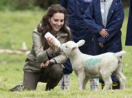 Kate Middleton, fermière au top : Pour la duchesse, le bonheur est dans le pré