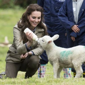 Kate Middleton, duchesse de Cambridge, nourrit l'agneau Stinky lors de sa visite avec des élèves et enseignants d'une école primaire de Vauxhall dans une ferme à Arlingham, dans le Gloucestershire, avec l'association Farms For City Children, le 3 mai 2017.