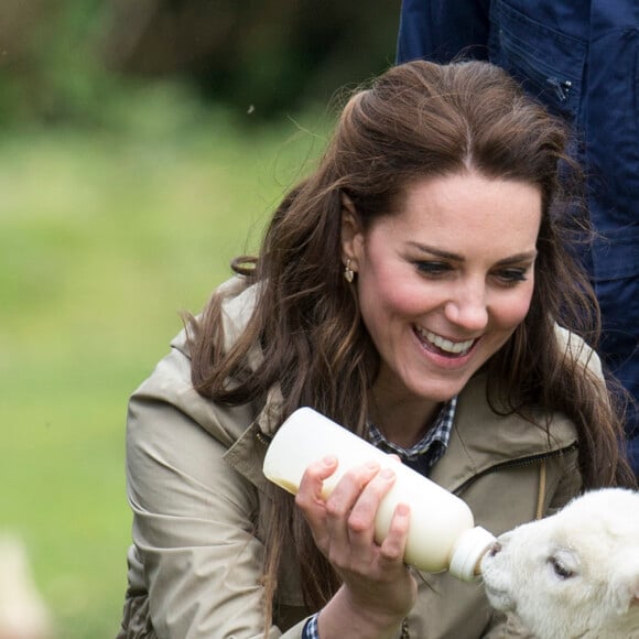 Kate Middleton, duchesse de Cambridge, visitait avec des élèves et enseignants d'une école primaire de Vauxhall une ferme à Arlingham, dans le Gloucestershire, avec l'association Farms For City Children, le 3 mai 2017.