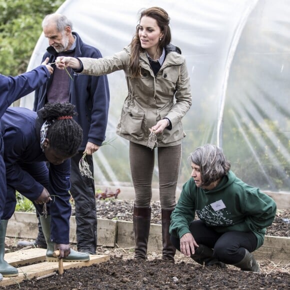 Kate Middleton, duchesse de Cambridge, a aidé à planter des oignons lors de sa visite avec des élèves et enseignants d'une école primaire de Vauxhall dans une ferme à Arlingham, dans le Gloucestershire, avec l'association Farms For City Children, le 3 mai 2017.