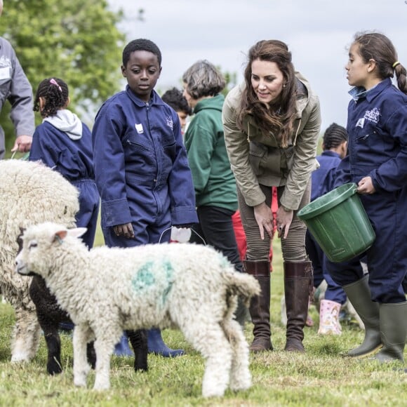 Kate Middleton, duchesse de Cambridge, visitait avec des élèves et enseignants d'une école primaire de Vauxhall une ferme à Arlingham, dans le Gloucestershire, avec l'association Farms For City Children, le 3 mai 2017.