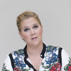 Amy Schumer - Conférence de presse pour le film "Snatched" à Santa Monica. Le 22 avril 2017