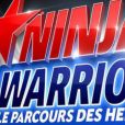 Ninja Warrior à partir du 8 juillet 2016, sur TF1