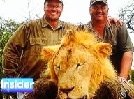 Cecil le Lion : Son fils Xanda sauvagement abattu au 3e anniversaire de sa mort