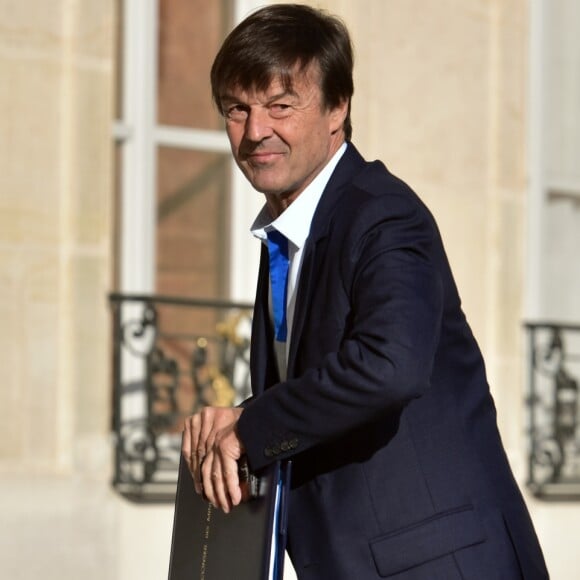 Le ministre de la Transition écologique et solidaire Nicolas Hulot arrivant au conseil des ministres au palais de l'Elysée à Paris, le 5 juillet 2017. © Giancarlo Gorassini/Bestimage