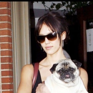 JESSICA ALBA ET SON CHIEN A LOS ANGELES 3707935 Jessica Alba leaves the vet in Los Angeles on September 30, 2009 with her faithful pug friend.30/09/2009 - Los Angeles