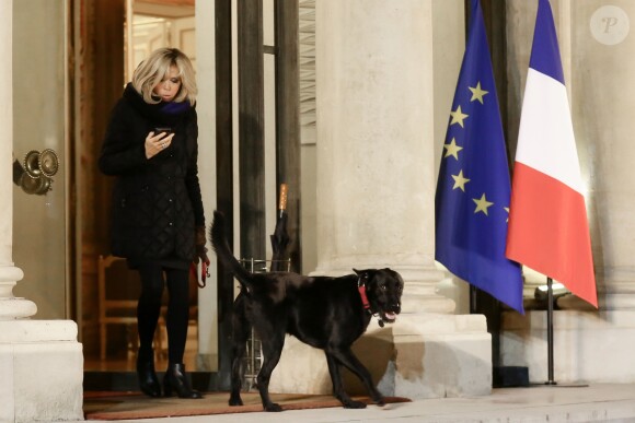 La première dame Brigitte Macron promène son chien Nemo près du palais de l'Elysée à Paris le 20 novembre 2017 © Stéphane Lemouton/Bestimage