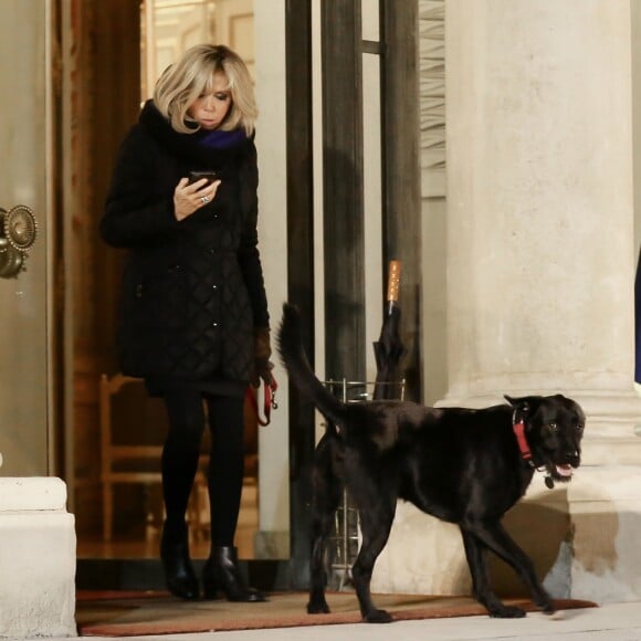 La première dame Brigitte Macron promène son chien Nemo près du palais de l'Elysée à Paris le 20 novembre 2017 © Stéphane Lemouton/Bestimage