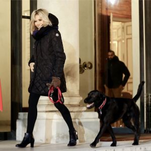 La première dame Brigitte Macron promène son chien Nemo près du palais de l'Elysée à Paris le 20 novembre 2017 © Stéphane Lemouton/Bestimage