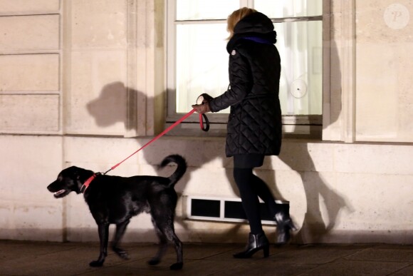 La première dame Brigitte Macron promène son chien Nemo près du palais de l'Elysée à Paris le 20 novembre 2017 © Stéphane Lemouton/Bestimage