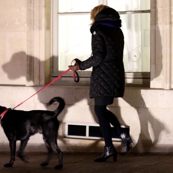 La première dame Brigitte Macron promène son chien Nemo près du palais de l'Elysée à Paris le 20 novembre 2017 © Stéphane Lemouton/Bestimage