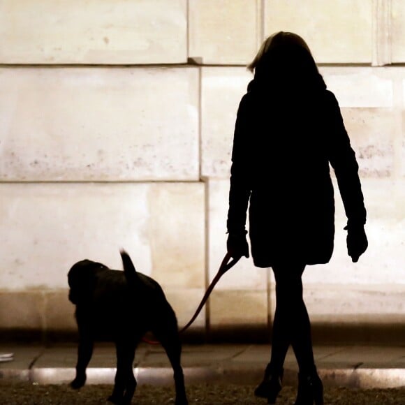 La première dame Brigitte Macron promène son chien Nemo près du palais de l'Elysée à Paris le 20 novembre 2017 © Stéphane Lemouton/Bestimage