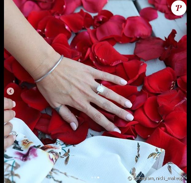 Giacomo Gianniotti a offert cette bague de fiançailles à sa chérie Nichole. Le 26 novembre 2017