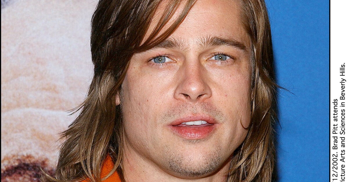 Brad Pitt Ces Jumeaux Qui Ont D Pens Dollars Pour Lui Ressembler Purepeople